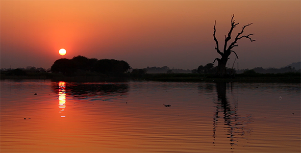 Sunset Over the Lake and a Tree alt