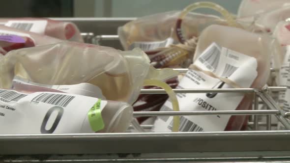 Bags Of O Positive Stored Blood