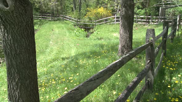 Wooden Fence In A Meadow (2 Of 2)