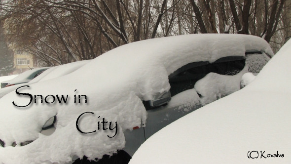 Cars Covered With Snow On Parking