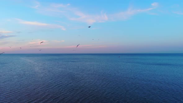 Beautiful Sea With Gulls