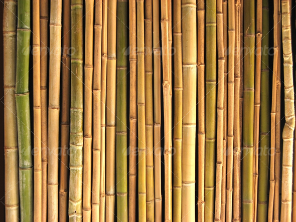 Reeds - Nature Textures