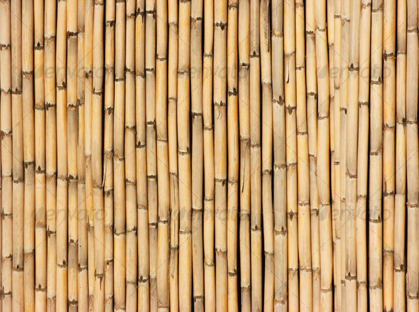 Reeds 2 - Nature Textures