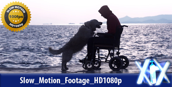 Man In Wheelchair With Dog