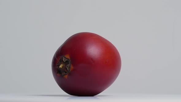 Tamarillo 23 alt