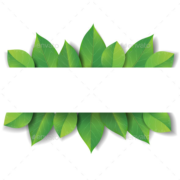 Banner  with Green  Leaves  by Val Iva GraphicRiver