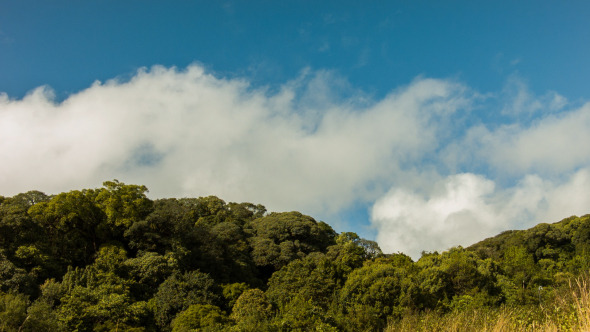 Mountain And Clouds alt