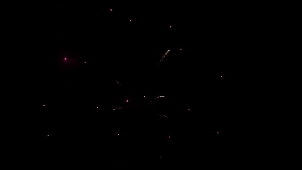 Fireworks in night sky, Shot on RED Epic in slow motion alt