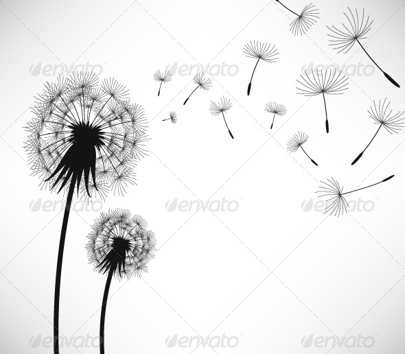 Dandelion Wind Blow Flower - Flowers & Plants Nature