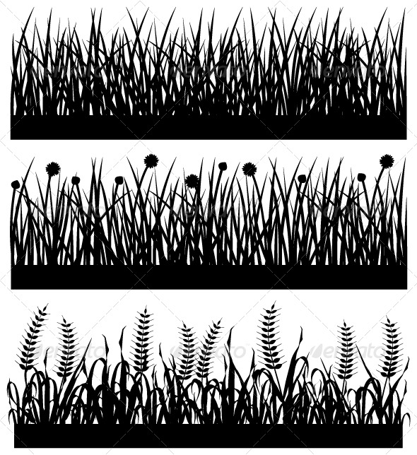 Grass Plant Flower Silhouette - Flowers & Plants Nature