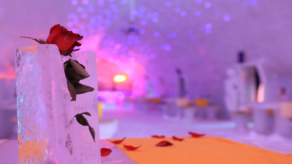 Rose Flower In The Ice Church