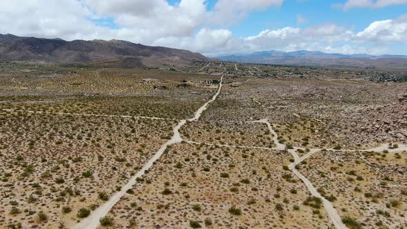Aerial View of Endless Desert Straight Dusty Asphalt Road in Joshua Tree Park. USA alt