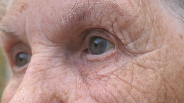 Новый рассказ на Дзене: Счастливый амулет, который изменил всё