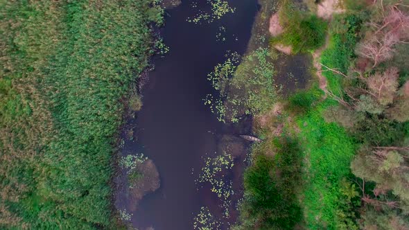 Wooden River Boat alt