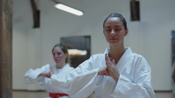Front View of Cute Girl in Kimono Showing Palm and Fist Gesture alt