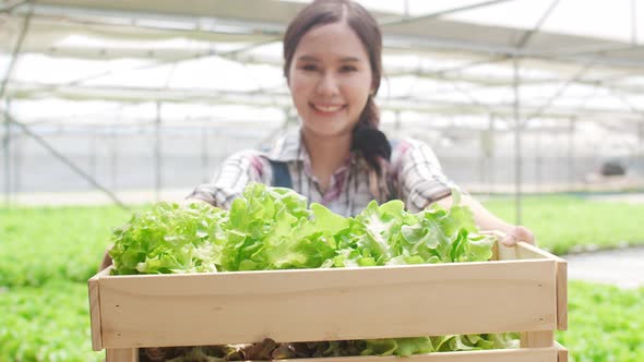 Asia lady farmer holding basket of green oak looking at camera and smile in hydroponics.