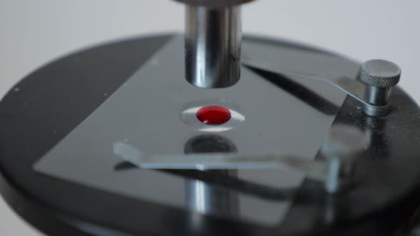 Microscope Blood Test