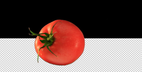 Tomato Rotating B