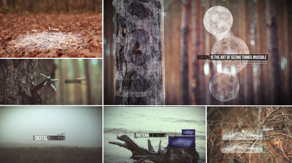 Digital Forest - VideoHive 10967830