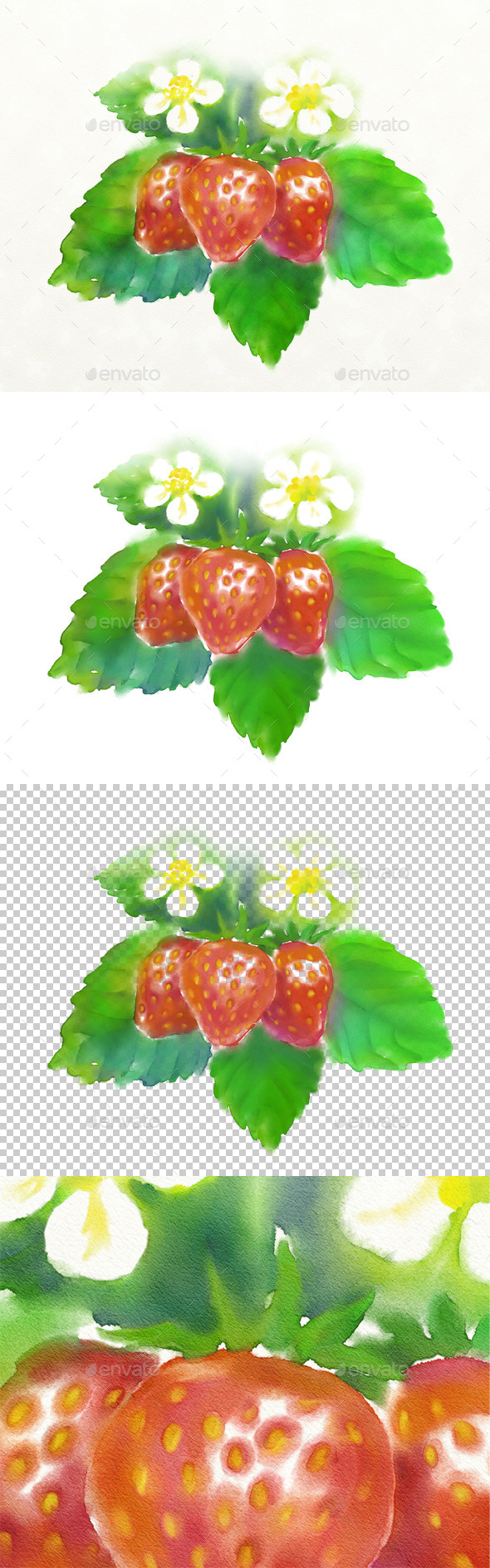 Watercolor of Strawberry