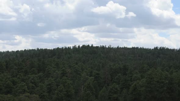 Clouds Over The Grand Canyon Forest. - Clip 3 alt