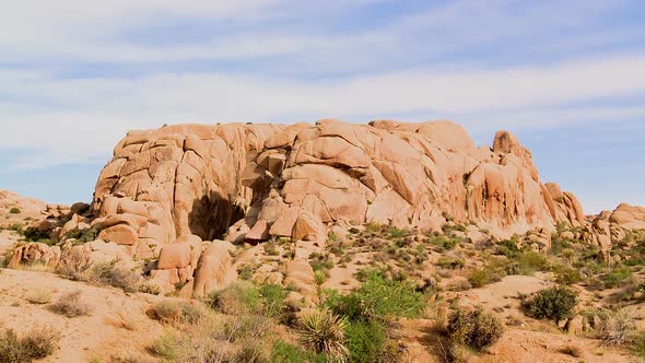 Joshua Tree Sunrise alt