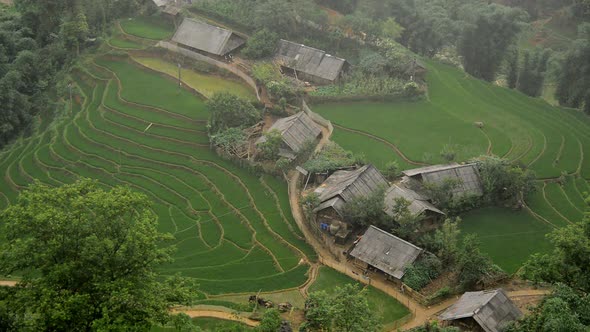 Scenic Hmong Rice Village In The Northern Mountains - Sapa Vietnam 2