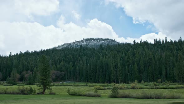 Field In Yosemite National Park