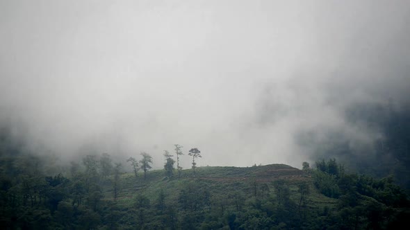 Fog In The Mountains Of Sapa - Northern Vietnam 3
