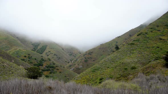 Foggy Valley Northern California