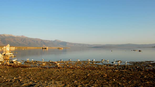 Tufa Formation On Scenic Mono Lake California 13