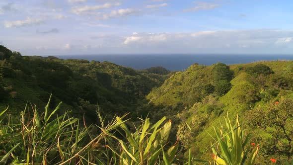 Tropical Hawaiian Valley 1