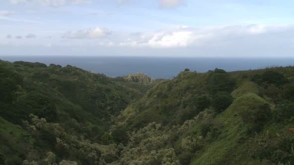Tropical Hawaiian Valley 2