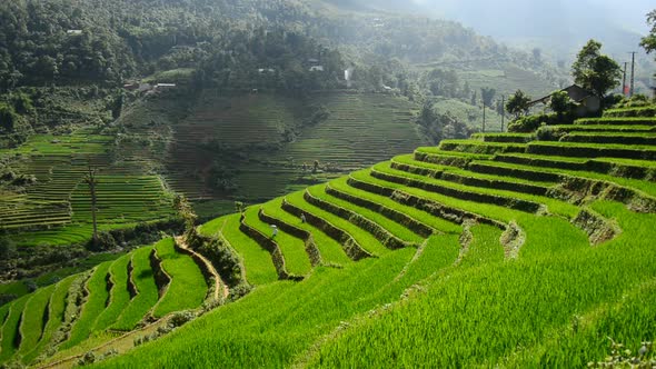 Scenic Rice Terraces In The Northern Mountains Of Sapa Vietnam 2