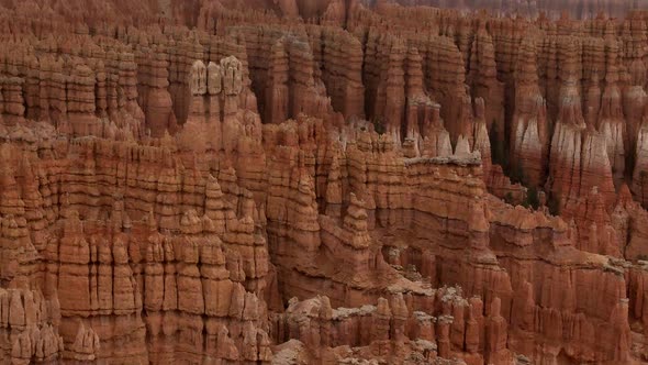 Bryce-Shadows 1-2011