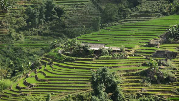 Scenic Rice Terraces In The Northern Mountains Sapa Vietnam 1