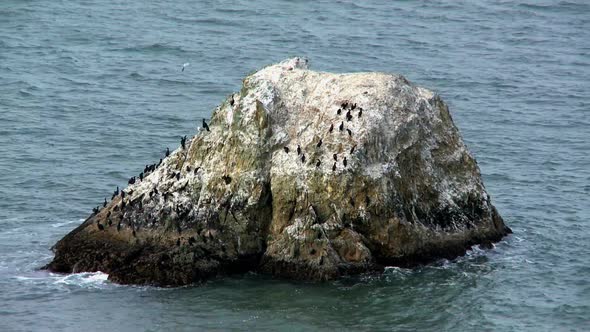 Rocks In The Pacific Ocean At Big Sur California - Clip 1
