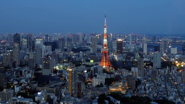 Skyline With Tokyo Tower At Night - Tokyo Japan 1