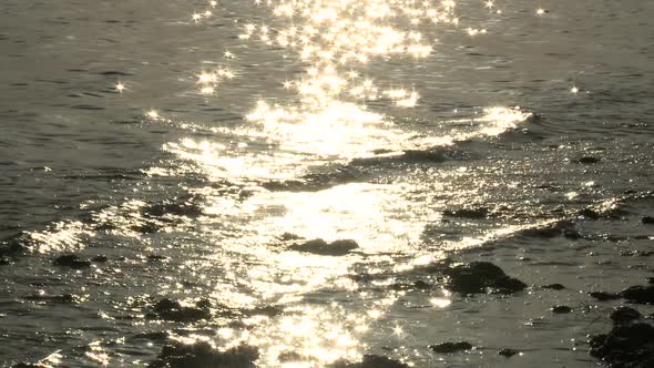 Golden Sun Reflection Off The Salton Sea 1
