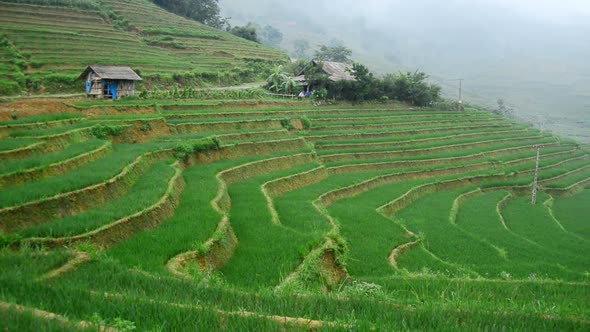  Farm House With Rice Terraces In Valley -  Sapa Vietnam 1