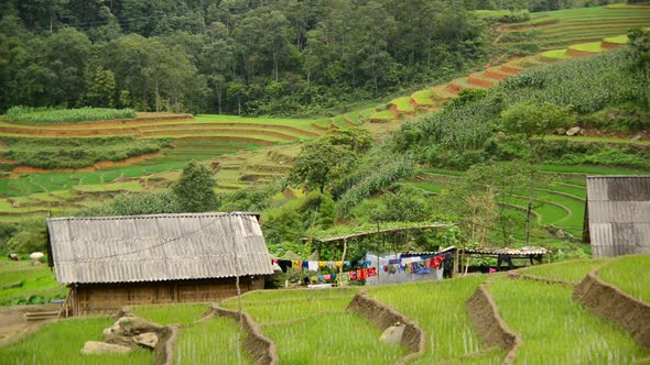 Farm House With Rice Terraces In Valley -  Sapa Vietnam 14