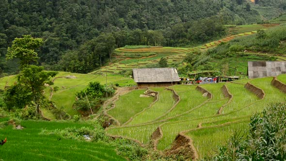 Farm House With Rice Terraces In Valley -  Sapa Vietnam 16