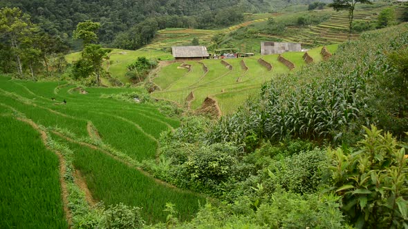 Farm House With Rice Terraces In Valley -  Sapa Vietnam 17