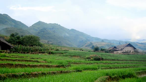 Farm House With Rice Terraces In Valley -  Sapa Vietnam 2