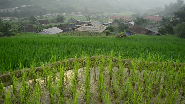 Farm House With Rice Terraces In Valley -  Sapa Vietnam 3