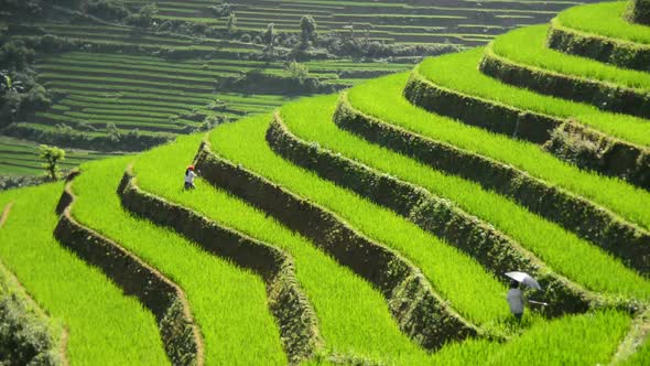 Rice Terraces In Green Valley Mountains Of Sapa Vietnam 3