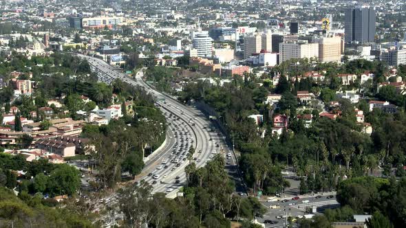 Hollywood Traffic