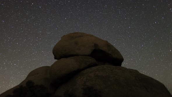 Joshua Tree At Night 5