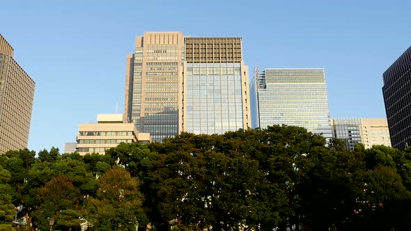 Office Buildings Surrounded By Trees In Central Tokyo Japan 1