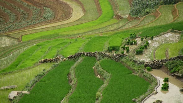 Scenic Rice Terraces - Northern Mountains Sapa Vietnam 1